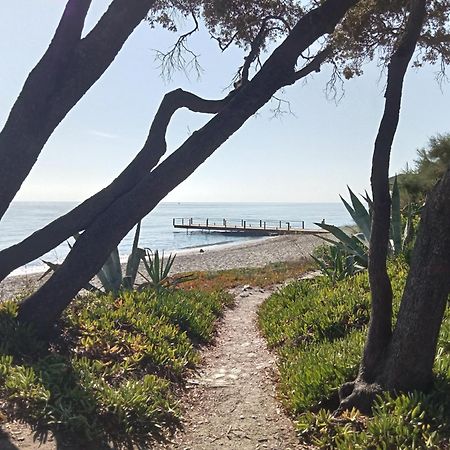 Studio A 100M De La Plage Et De La Piscine Cervione Zewnętrze zdjęcie