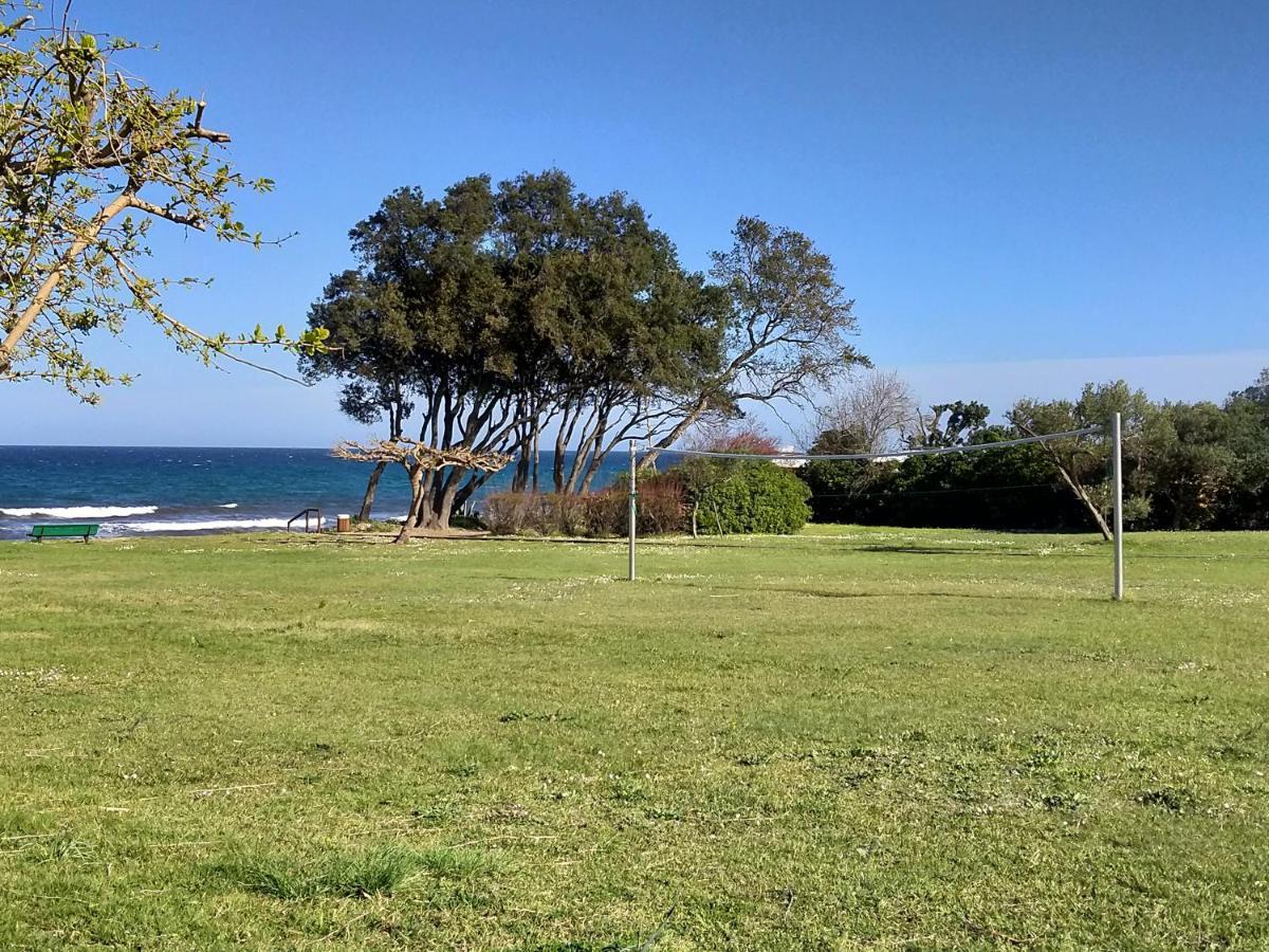 Studio A 100M De La Plage Et De La Piscine Cervione Zewnętrze zdjęcie